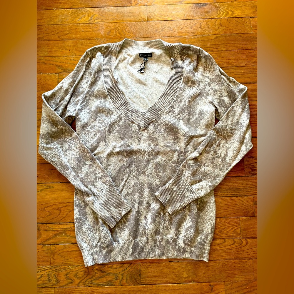 Express large nwt v neck sweater